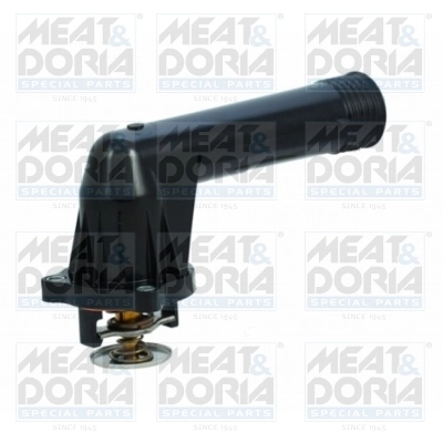 Thermostat, coolant